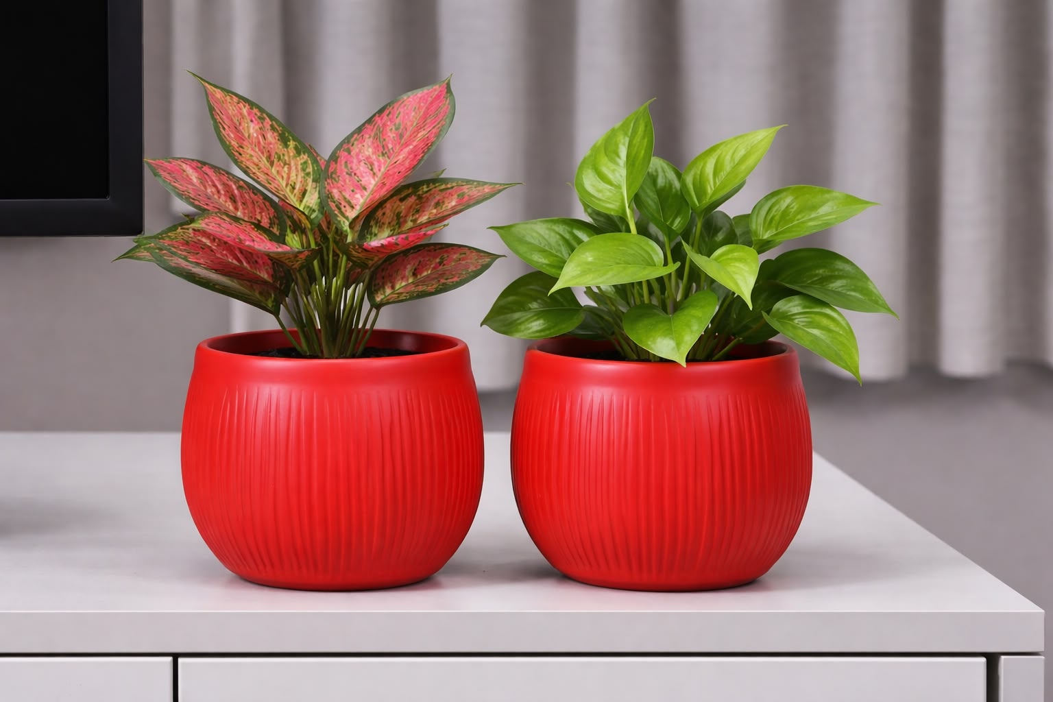 Fiber Glass Planter Modern
