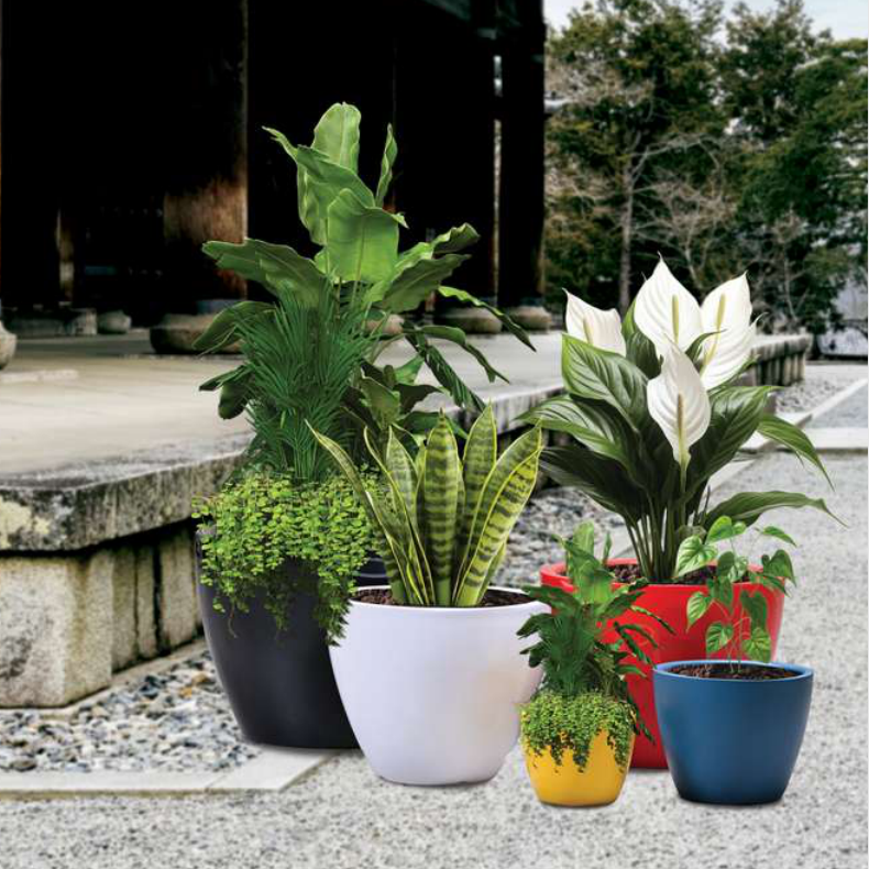 Angle Planter