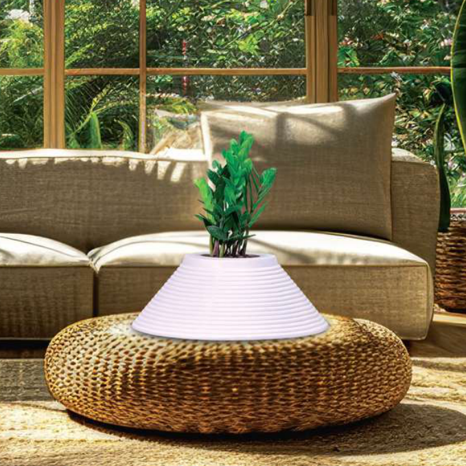 Coral Planter