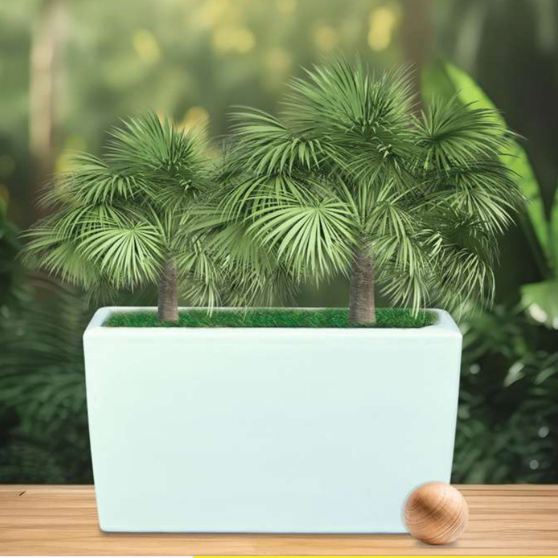 Femina Planter