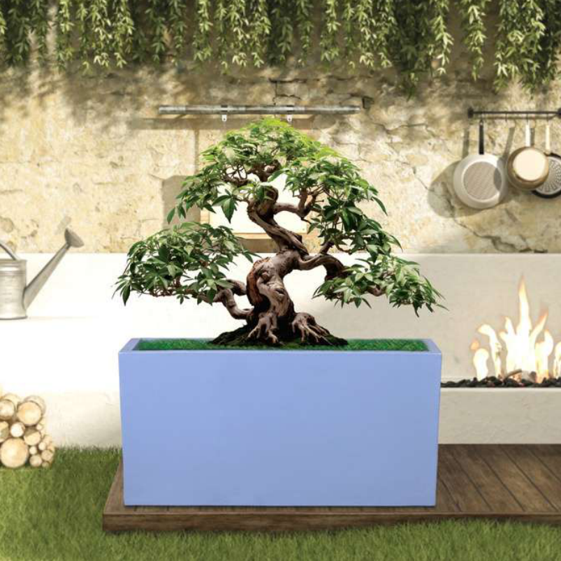 Femino Planter