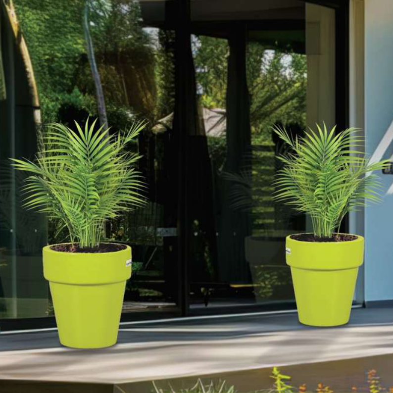 Lily Planter