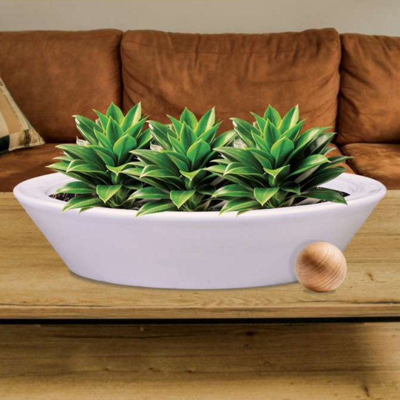 Lopa Planter