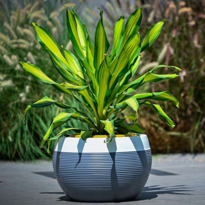 Millo Planter