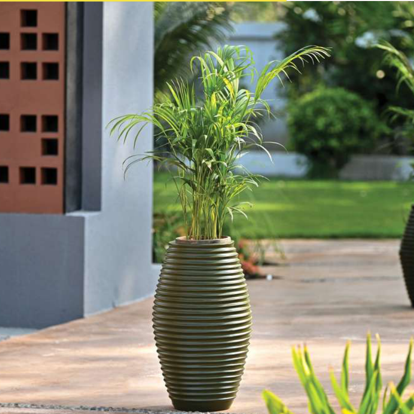 Oscar Planter