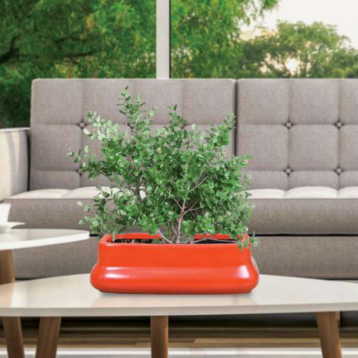 Sonic Rectangular Planter